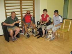 Rehabilitációs tanár és a vakvezetős párosok Rehabilitációs tanár és a vakvezetős párosok