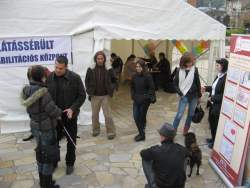 Érdeklődők a sátor előtt