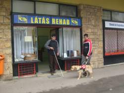 Vakvezető kutyás oktatás