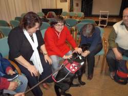 A Művésznő, lánya és Henna kutyánk