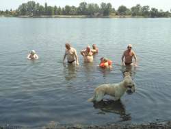 Akik átúszták a tavat.