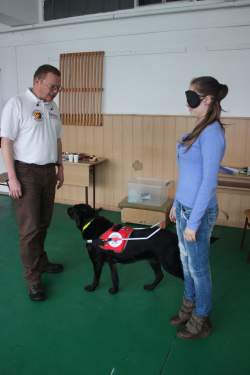 Egy újabb bátor jelentkező