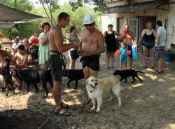 Biztonságos fáramászás