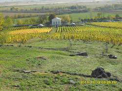 Gyönyörű helyen szüreteltünk