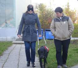 Vakvezető kutyával való közlekedés kipróbálása