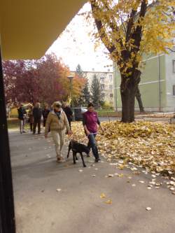 Vakvezető kutyás közlekedés